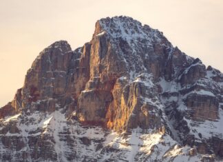 How To Manage High Blood Pressure Naturally And Effectively: Proven Tips