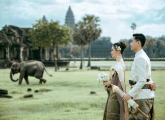 What Causes Bell’s Palsy And How Is It Treated? Discover Now!