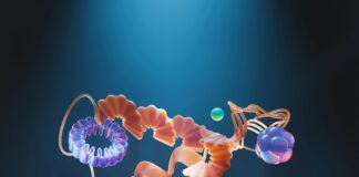 The Role Of Genetics In Diabetes: Unlocking Vital Health Insights