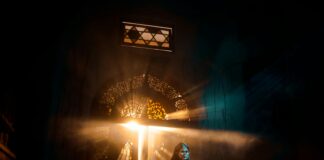 What Causes Hyperlipidemia And How To Lower Your Cholesterol Naturally?