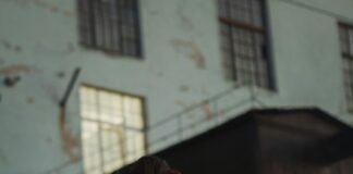 The Link Between Smoking And Stroke Risk: What You Must Know