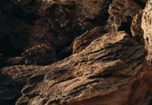 The Link Between Obesity And Sleep Apnea: Shocking Truth Revealed