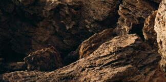 The Link Between Obesity And Sleep Apnea: Shocking Truth Revealed