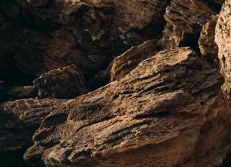 The Link Between Obesity And Sleep Apnea: Shocking Truth Revealed