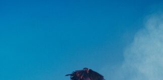 The Role Of Vaccinations In Preventing Infectious Diseases: Why It Matters