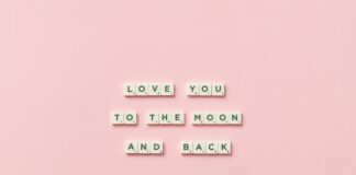 The Link Between Obesity And Heart Disease: What You Must Know