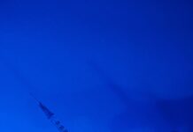 How To Recognize And Treat Symptoms Of Lyme Disease Effectively