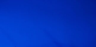 How To Recognize And Treat Symptoms Of Lyme Disease Effectively