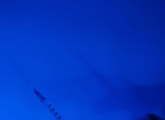 How To Recognize And Treat Symptoms Of Lyme Disease Effectively