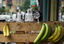 What Causes Hypokalemia And How To Manage Low Potassium Levels Effectively