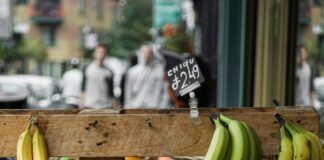 What Causes Hypokalemia And How To Manage Low Potassium Levels Effectively