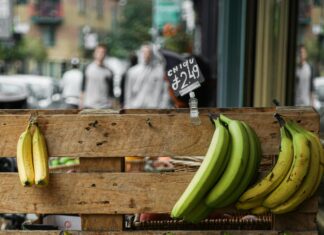 What Causes Hypokalemia And How To Manage Low Potassium Levels Effectively