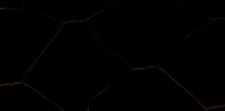 The Link Between Diabetes And Nerve Damage: What You Must Know