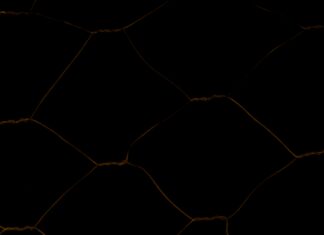 The Link Between Diabetes And Nerve Damage: What You Must Know