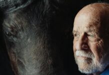 The Link Between Diabetes And Eye Problems: What You Must Know