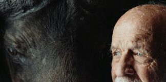 The Link Between Diabetes And Eye Problems: What You Must Know