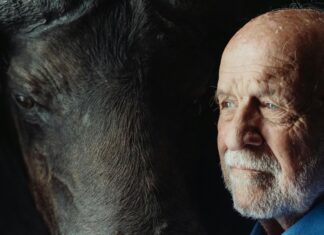 The Link Between Diabetes And Eye Problems: What You Must Know