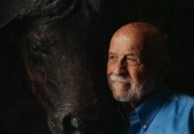 The Connection Between Stress And Heart Disease: What You Must Know