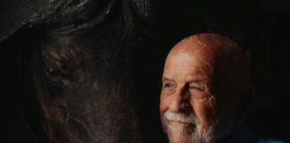 The Connection Between Stress And Heart Disease: What You Must Know