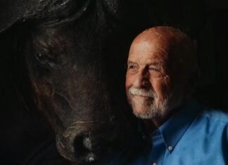 The Connection Between Stress And Heart Disease: What You Must Know