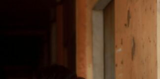 The Connection Between Hormonal Imbalance And Anxiety: Uncovered