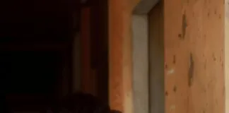 The Connection Between Hormonal Imbalance And Anxiety: Uncovered