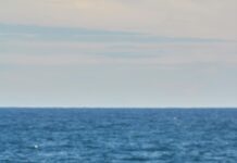 The Role Of Spiritual Practices In Mental Wellness: Unlock Peace