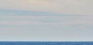 The Role Of Spiritual Practices In Mental Wellness: Unlock Peace