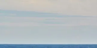 The Role Of Spiritual Practices In Mental Wellness: Unlock Peace