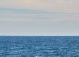 The Role Of Spiritual Practices In Mental Wellness: Unlock Peace