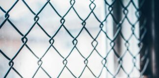 The Link Between Alcohol And Pancreatitis: What You Need To Know