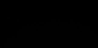 The Link Between Obesity And Joint Problems: Surprising Facts Revealed