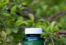 The Link Between Mental Health And Immune Function: Surprising Facts