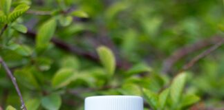 The Link Between Mental Health And Immune Function: Surprising Facts