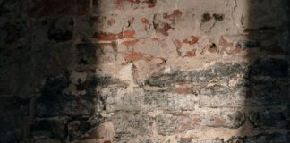 What You Need to Know About Symptoms of Tonsil Stones Today