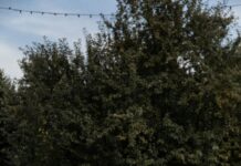 How To Practice Mindful Eating For Better Mental Health Today