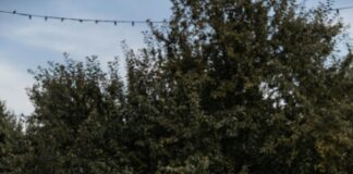 How To Practice Mindful Eating For Better Mental Health Today