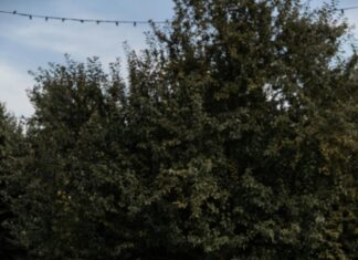 How To Practice Mindful Eating For Better Mental Health Today