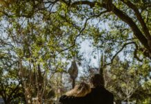 The Benefits Of Nature Walks For Reducing Depression: Discover How