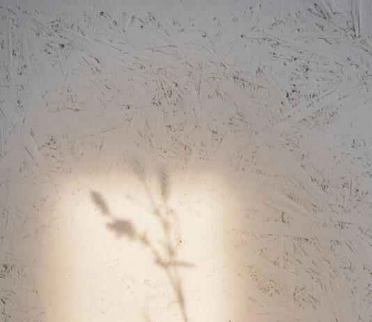 The Role Of Meditation In Managing Chronic Pain And Mental Health: Discover How