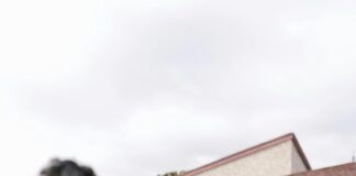 The Importance Of Social Connections For Mental Wellness Uncovered