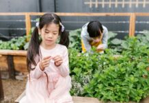 What You Need to Know About Symptoms of ADHD in Children: Essential Insights