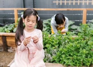 What You Need to Know About Symptoms of ADHD in Children: Essential Insights