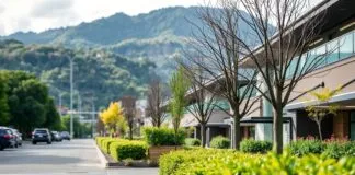 The Intersection of Urban Planning and Public Health: A Case Study from Rotorua The Intersection of Urban Planning and Public Health: A Case Study from Rotorua